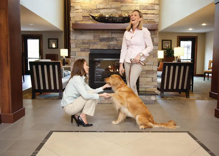 Staybridge Suites - Cedar Park - Austin N By Ihg